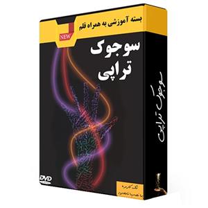 مجموعه آموزشی سوجوک تراپی رایانه بسته 5 عددی کد1549