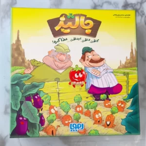 بازی فکری جالیز (هوپا) کد3066