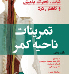 تمرینات ناحیه کمر: ثبات، تحرک‌پذیری و کاهش درد کد3554