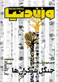 کتاب ماهنامه وزن دنیا شماره 12 اثر گروه نویسندگان کدm21960