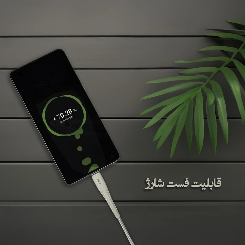 کابل تبدیل USB به USB-C فراسو مدل BUC-302 طول ۲ متر کدm23410